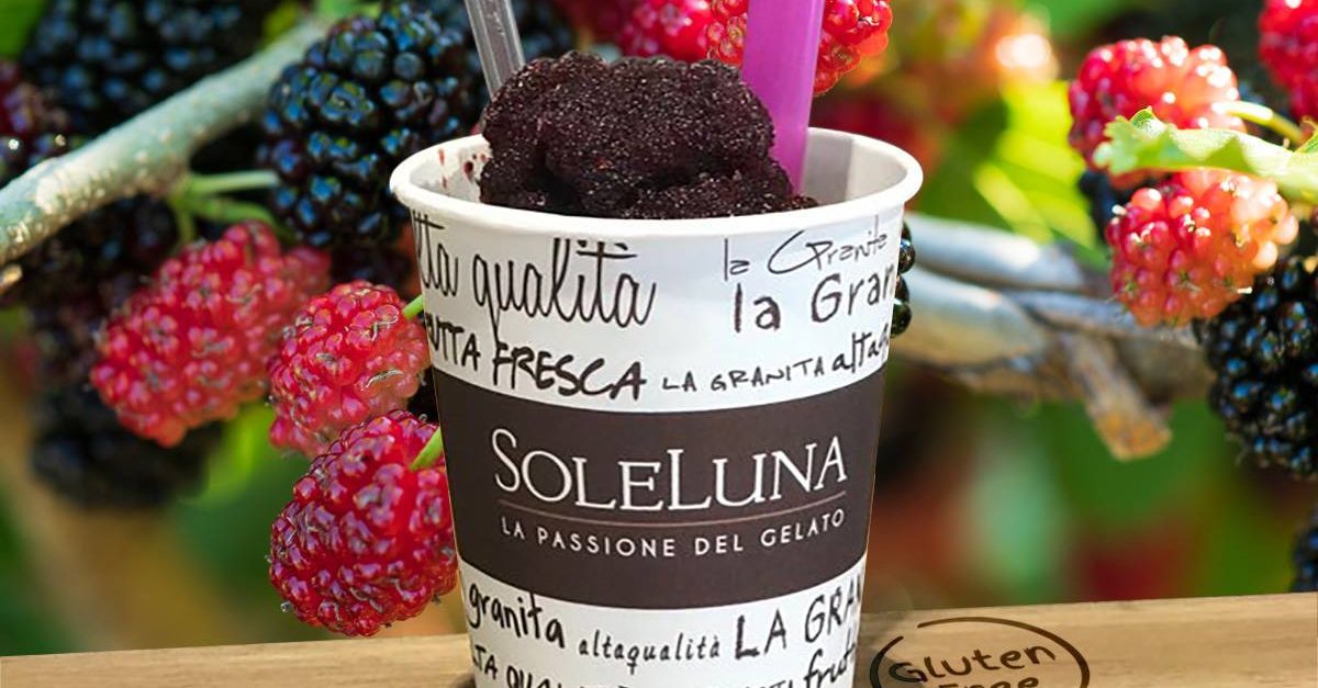 Granite di frutta fresca Gelateria Soleluna
